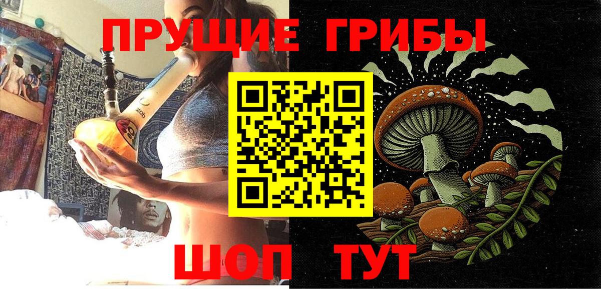 Галлюциногенные грибы Psilocybine cubensis Александров