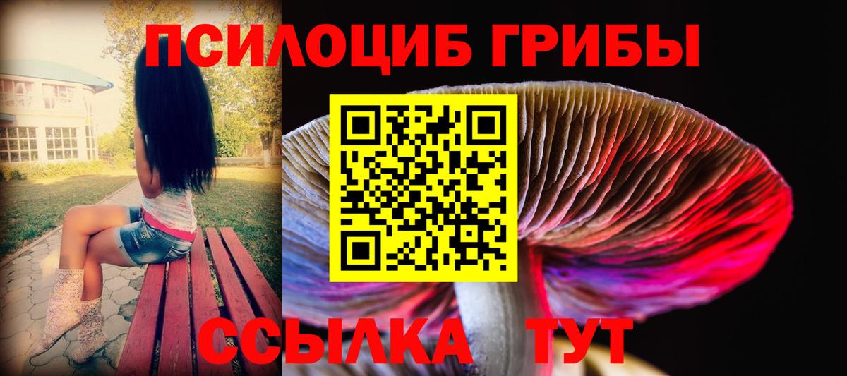 Александров  Псилоцибиновые грибы MAGIC MUSHROOMS  купить наркотики цена  Вход с VPN  Псилоцибиновые грибы мицелий 